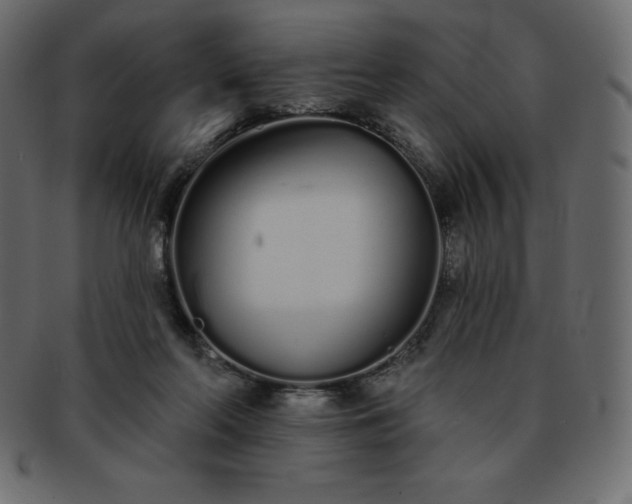 X0000093360214200710191103