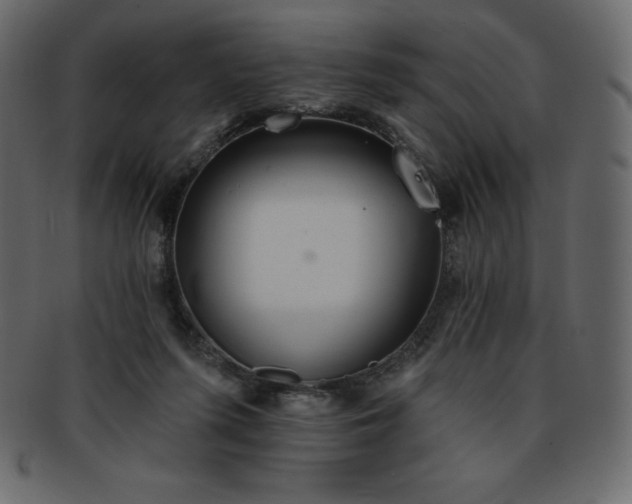 X0000093360215200710191103