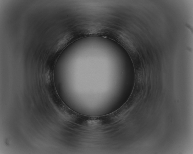 X0000093360216200710191103