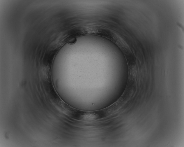 X0000093360218200710191103
