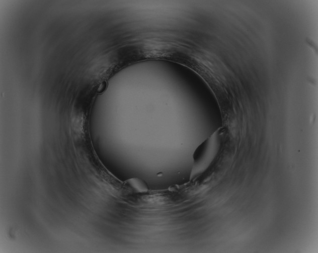 X0000093360219200710191103