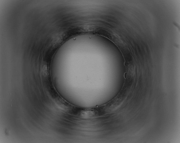 X0000093360220200710191103