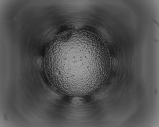 X0000093360222200710191103