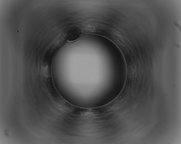 X0000093360224200710191103