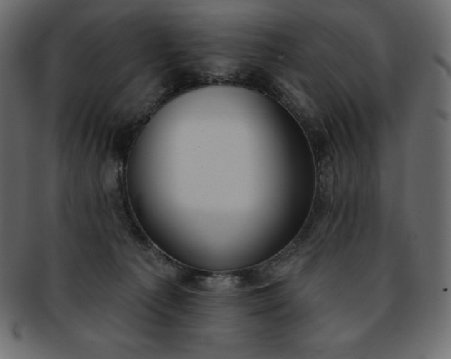 X0000093360225200710191103