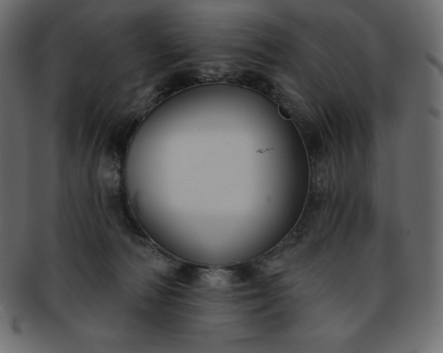 X0000093360226200710191103