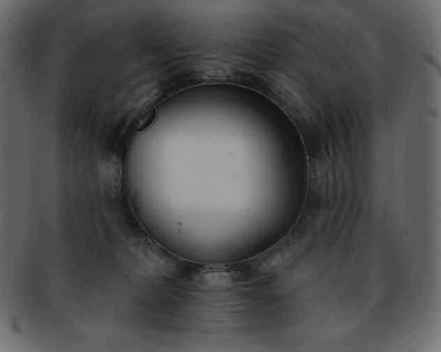 X0000093360228200710191103