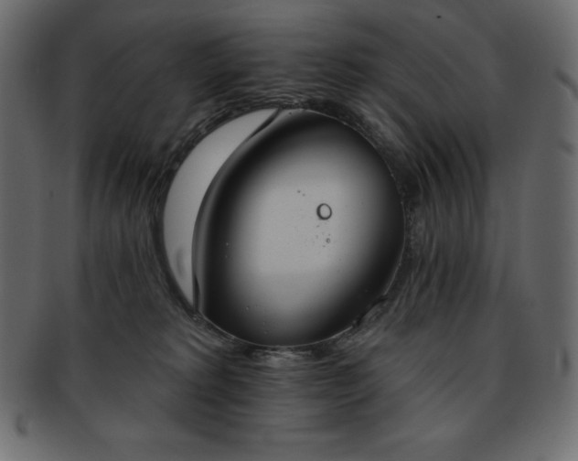 X0000093360229200710191103