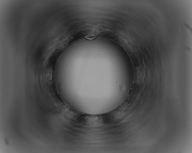 X0000093360230200710191103