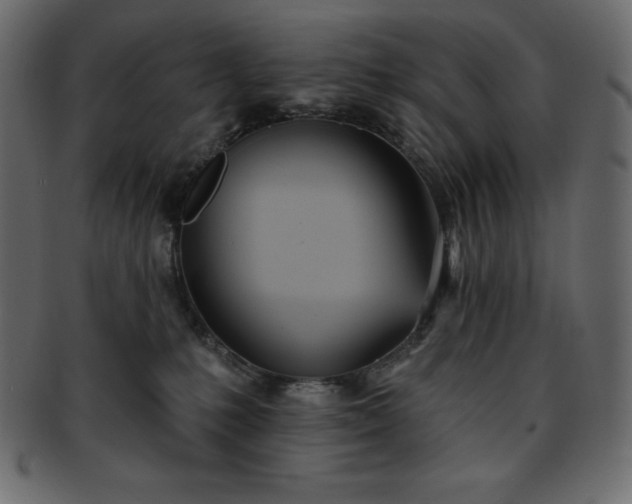 X0000093360231200710191103