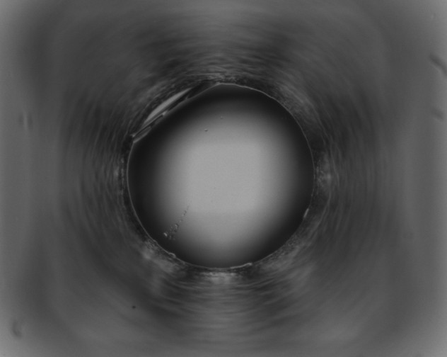 X0000093360233200710191103