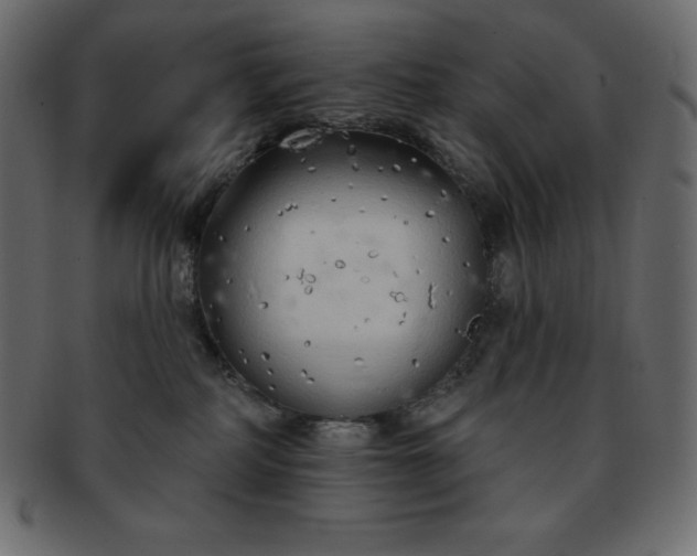 X0000093360234200710191103