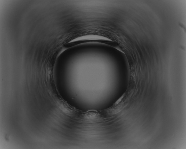 X0000093360235200710191103