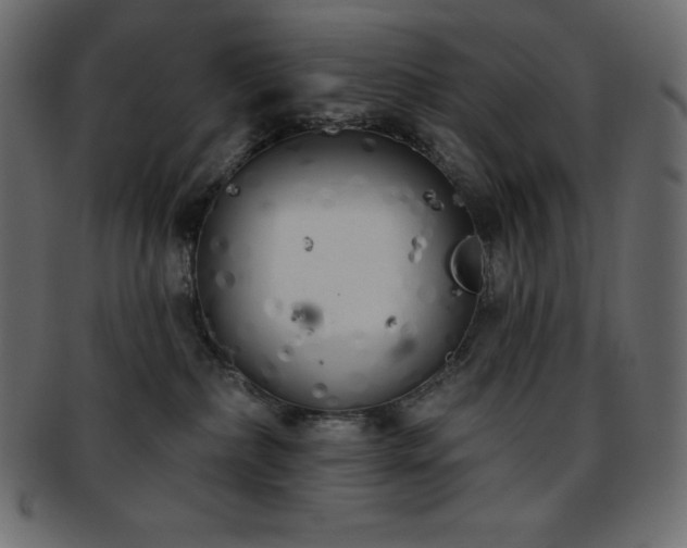 X0000093360236200710191103