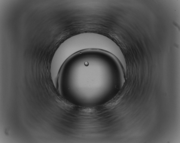 X0000093360237200710191103