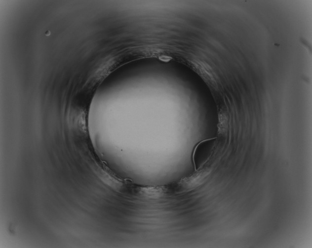 X0000093360238200710191103