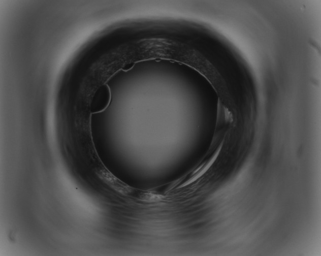 X0000093360239200710191103