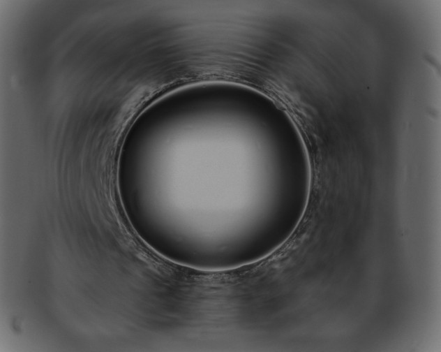 X0000093360241200710191102