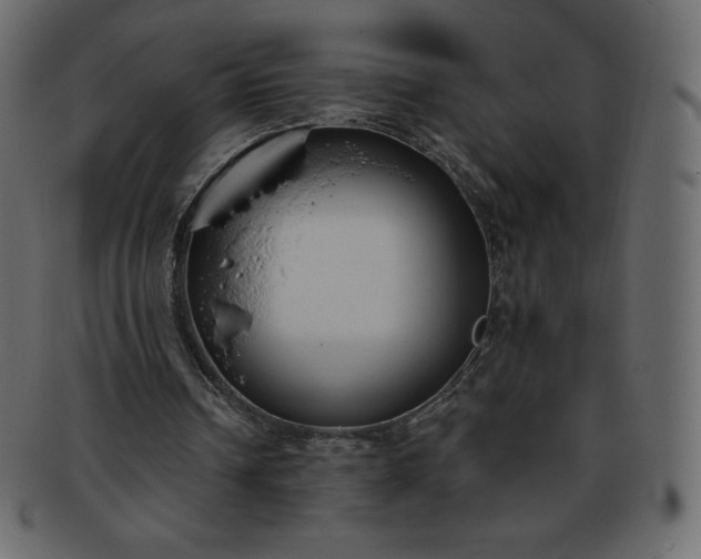 X0000093360242200710191102