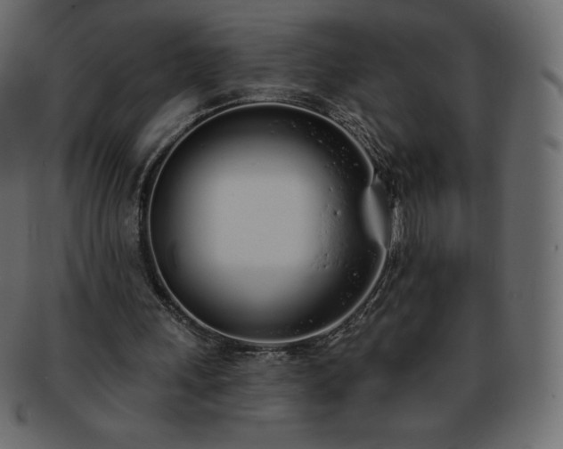 X0000093360243200710191102