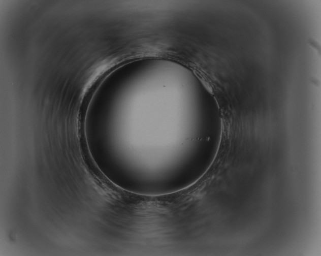 X0000093360244200710191102