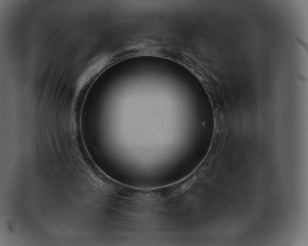 X0000093360245200710191102