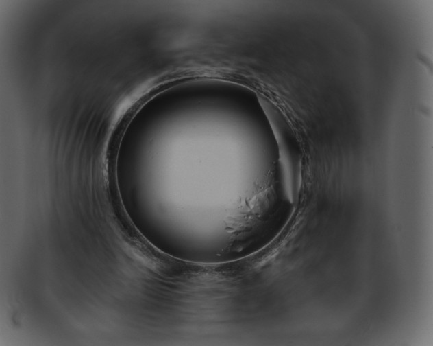 X0000093360246200710191103