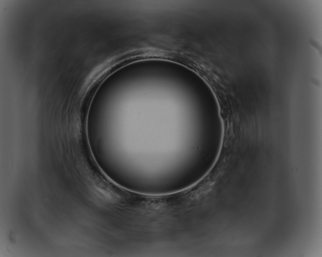 X0000093360247200710191103