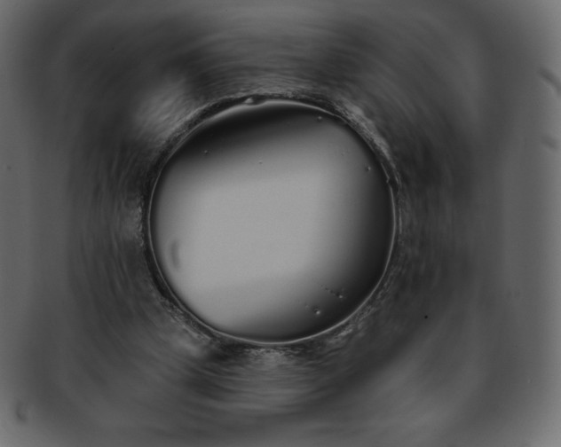X0000093360249200710191103