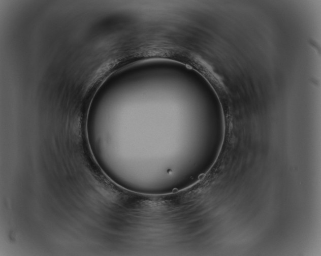 X0000093360250200710191103