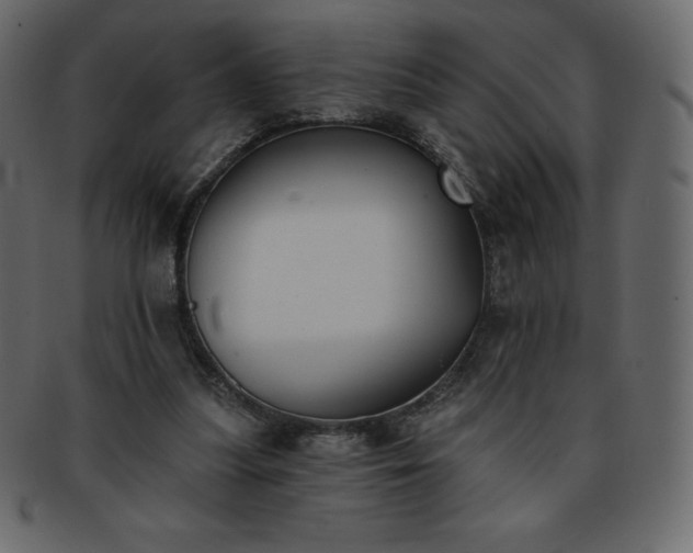 X0000093360251200710191103
