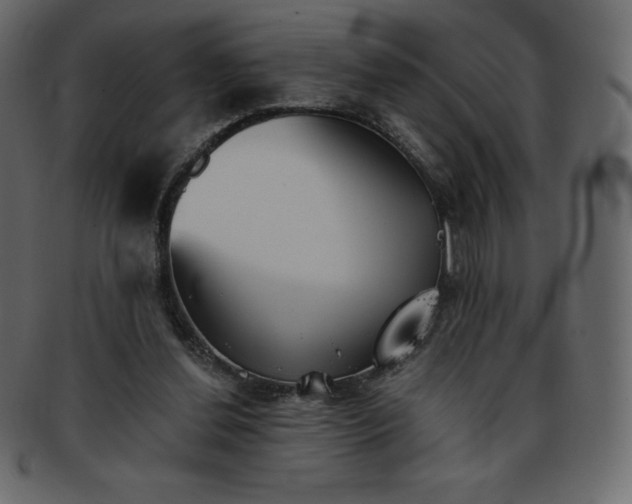 X0000093360252200710191103