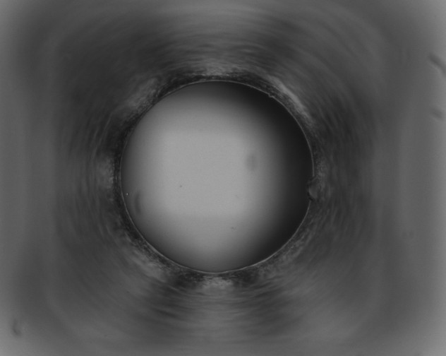 X0000093360257200710191103