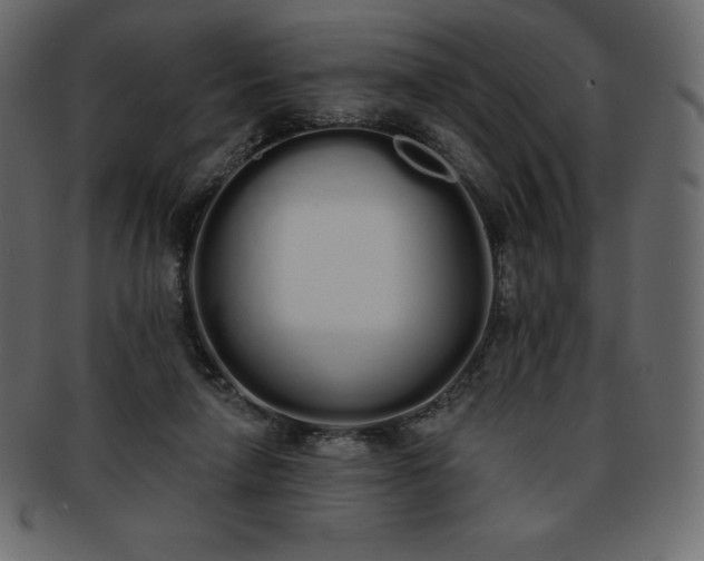 X0000093360258200710191103