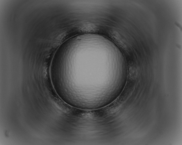 X0000093360259200710191103