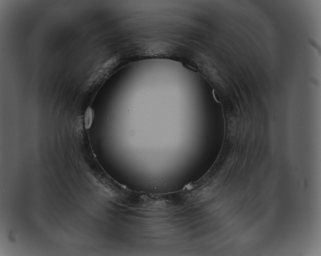X0000093360260200710191103
