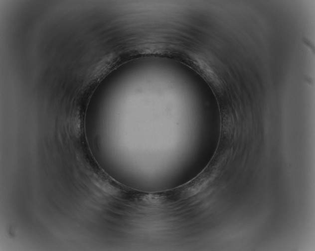 X0000093360261200710191103