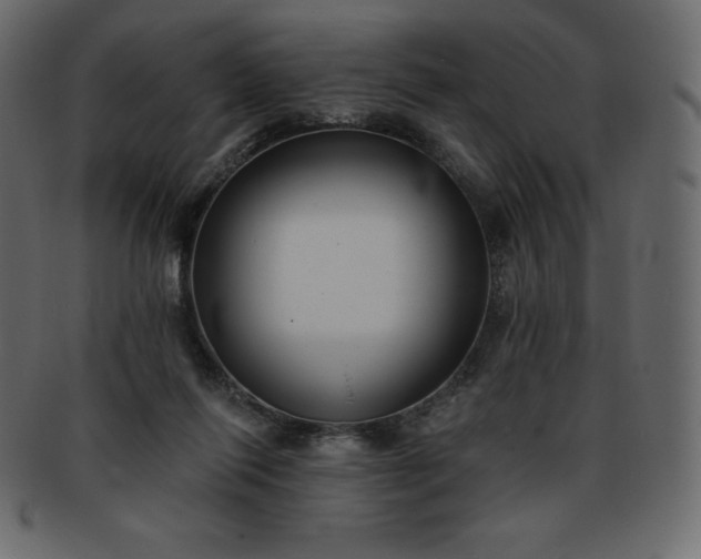 X0000093360262200710191103
