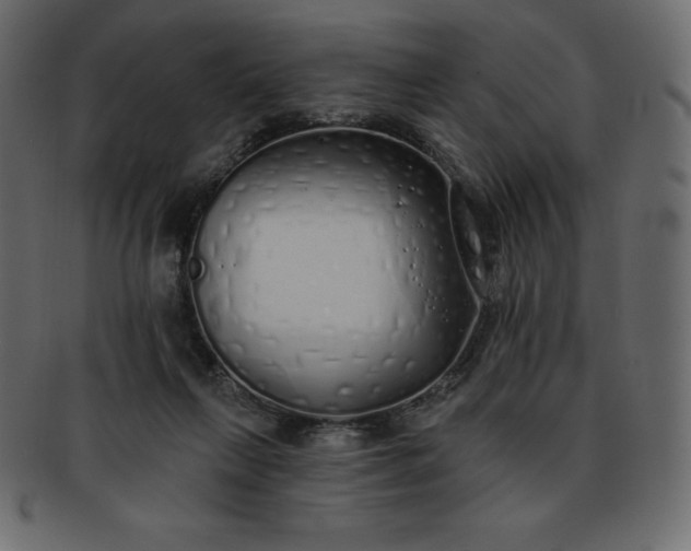 X0000093360263200710191103