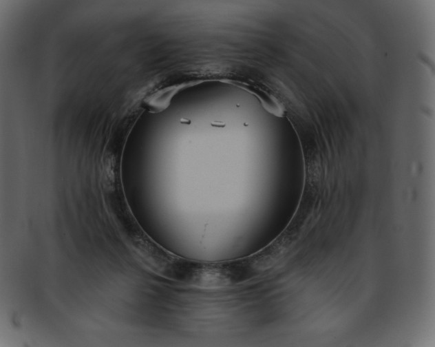 X0000093360264200710191103