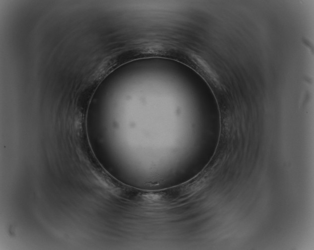 X0000093360265200710191103