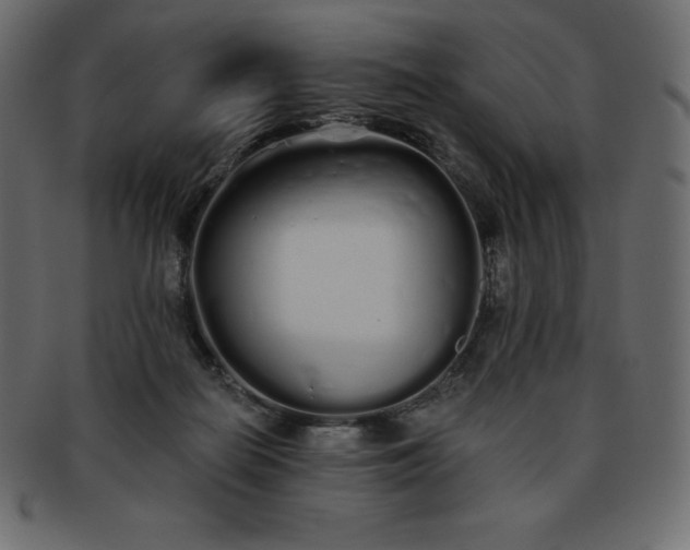 X0000093360266200710191103