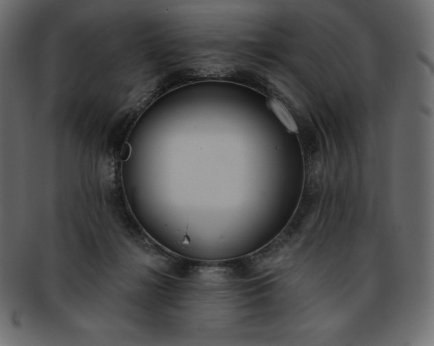 X0000093360268200710191103