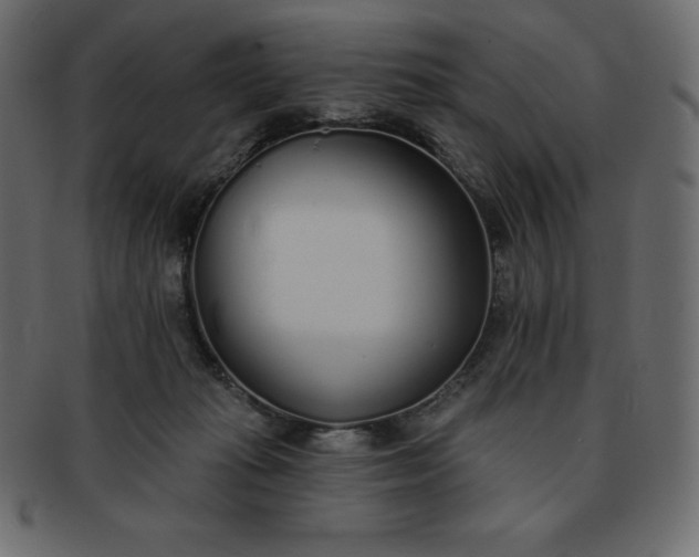 X0000093360269200710191103