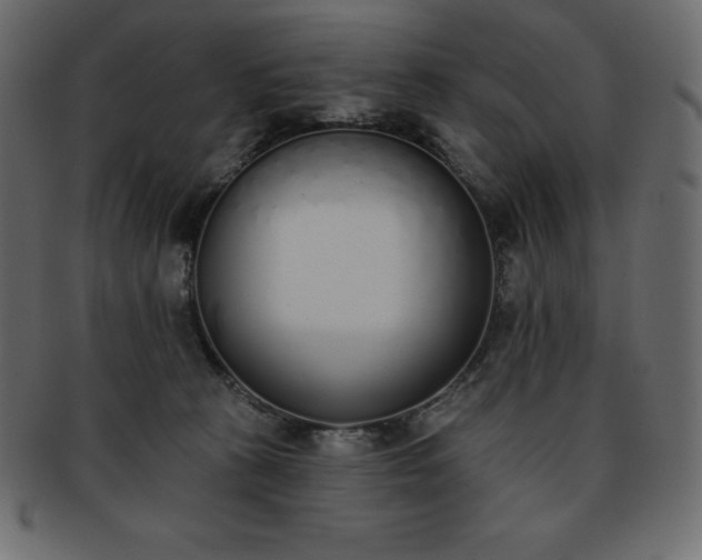 X0000093360273200710191103