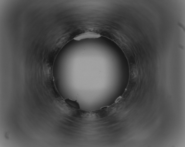 X0000093360276200710191103