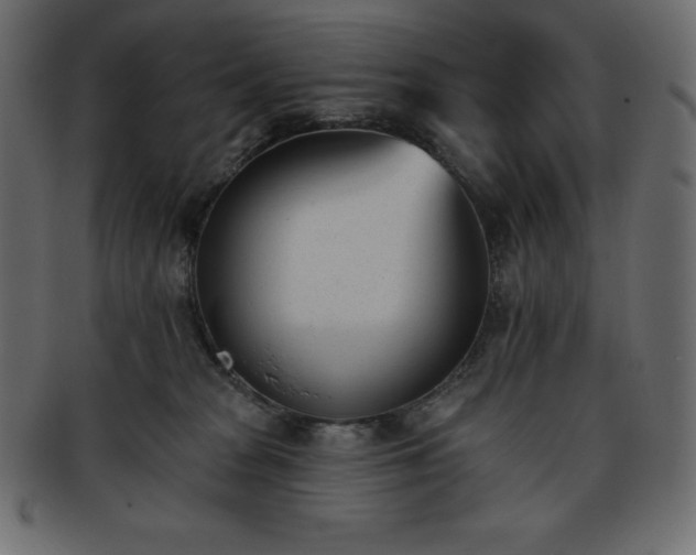 X0000093360277200710191103
