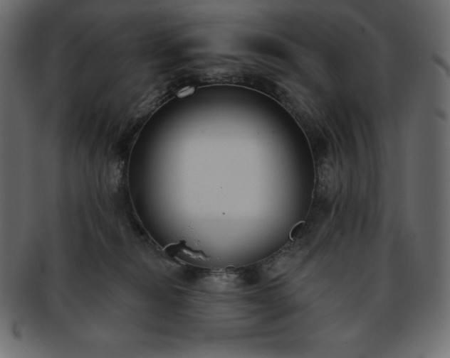 X0000093360278200710191103
