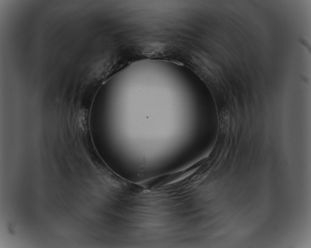 X0000093360280200710191103