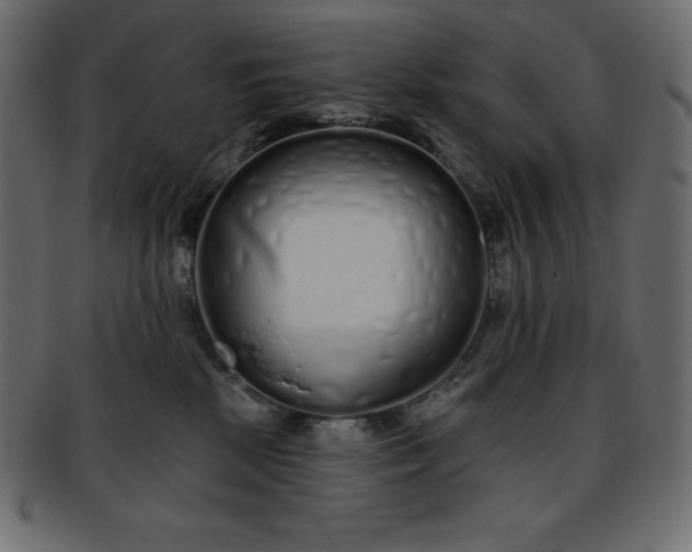 X0000093360281200710191103